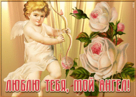 Postcard люблю тебя