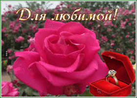 Picture люблю тебя