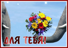 Picture люблю тебя