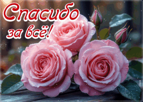 Postcard мечтательная гиф-открытка, спасибо за все
