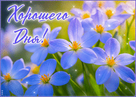 Postcard мечтательная гиф-открытка, хорошего и яркого дня