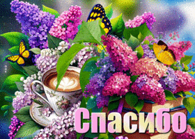 Picture мелодичная гиф-открытка, благодарит за все