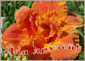 Открытка мерцающая открытка друзьям