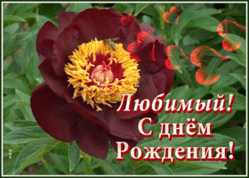 Картинка мерцающая открытка с днем рождения любимому