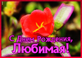 Картинка мерцающая открытка с днем рождения любимой