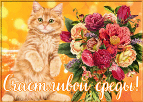 Открытка мерцающая открытка со средой