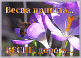 Открытка мерцающая открытка весна пришла