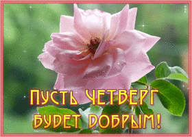 Picture милая гиф-открытка, пусть четверг будет добрым