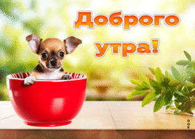 Postcard милая гиф-открытка с песиком доброго утра!