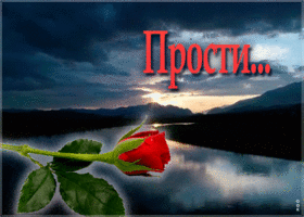 Картинка милая картинка прости