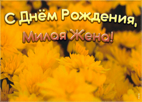 Картинка милая картинка с днем рождения жене
