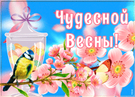Открытка милая картинка с весной
