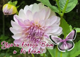 Postcard милая картинка удачи всегда вам и во всем