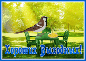 Picture милая картинка хороших выходных с птичкой