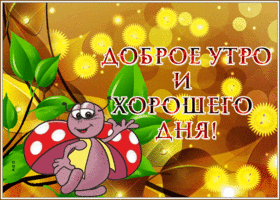Picture милая открытка доброе утро и хорошего дня с мерцанием