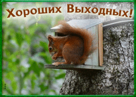 Открытка милая открытка хороших выходных