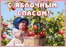 Картинка милая открытка медовый спас
