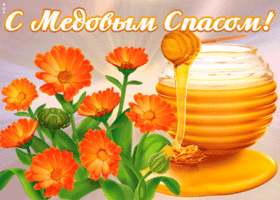 Открытка милая открытка медовый спас