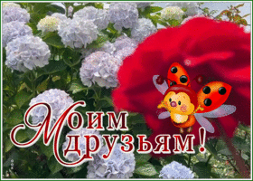 Picture милая открытка моим друзьям, с божьей коровкой