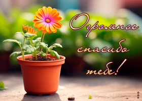 Picture милая открытка с цветочком огромное спасибо тебе