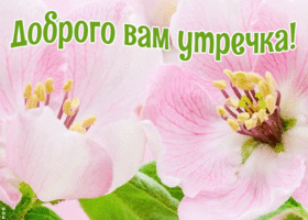 Открытка милая открытка с добрым утром девушке