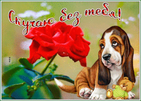 Picture милая открытка скучаю с собакой