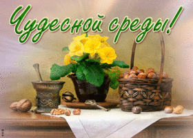 Открытка милая открытка со средой