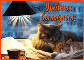 Картинка милая открытка уютных выходных