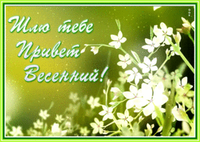 Открытка милая весеняя картинка привет