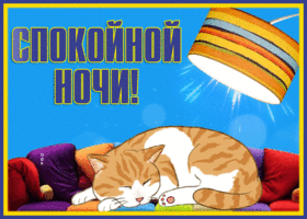 Картинка милейшая картинка спокойной ночи