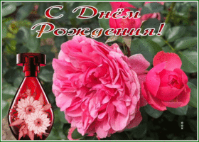 Picture миловидная гиф-открытка с днем рождения прекрасную женщину