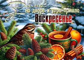 Postcard мощная гиф-открытка, зима на дворе и воскресенье