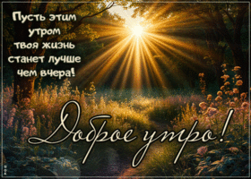 Postcard мягчайшая гиф-открытка, пусть этим утром твоя жизнь станет лучше