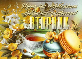 Postcard мягкая гиф-открытка, прекрасного настроения и вторника