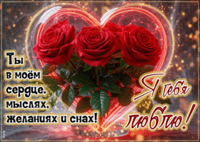 Postcard мягкая гиф-открытка, ты мое сердце, мое все