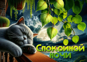 Picture мягкотелая гиф-открытка, желает сладких снов