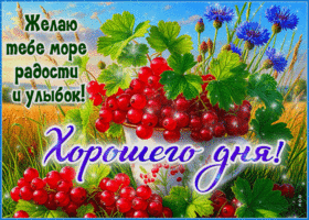 Postcard надежная гиф-открытка, море радости тебе на весь день