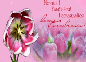 Картинка наслаждайся каждым мгновением