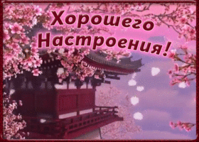 Открытка необычная картинка хорошего настроения