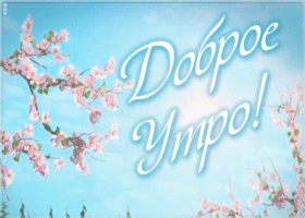 Открытка необычная картинка с добрым утром