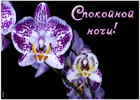 Картинка необычная картинка спокойной ночи