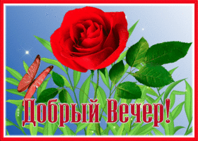 Открытка необычная открытка добрый вечер и уюта вам