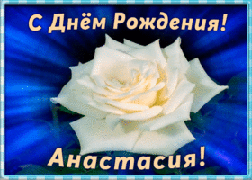 Открытка необычная открытка с днем рождения анастасия