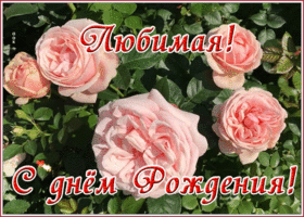 Картинка необычная открытка с днем рождения девушке