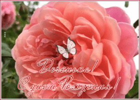 Открытка необычная открытка с днем рождения дочери