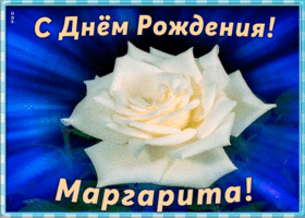 Картинка необычная открытка с днем рождения маргарита