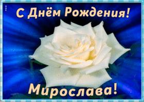 Картинка необычная открытка с днем рождения мирослава
