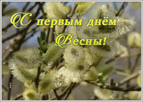 Открытка необычная открытка с первым днем весны