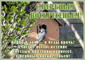 Картинка необычная открытка с вербным воскресеньем