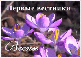 Картинка необычная открытка с весной